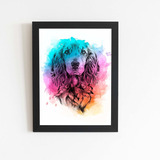 Quadro Cocker Spaniel Inglês Cão Aquarela