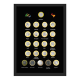 Quadro Colecao Moedas Comemorativas