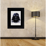 Quadro Darth Vader 