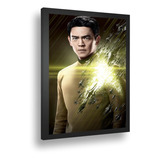 Quadro Decor Poster Star Trek Personagem