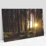 Quadro Decor Tela Canvas