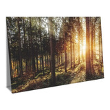 Quadro Decor Tela Canvas