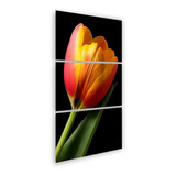 Quadro Decorativo 120x60 Tulipa