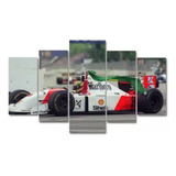 Quadro Decorativo 5 Pecas