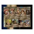 Quadro Decorativo Anime One Piece Cartazes De Procurados