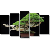 Quadro Decorativo Bonsai Arvore