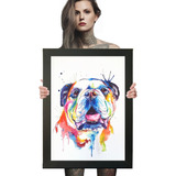 Quadro Decorativo Cachorro Bulldog Inglês Poster Moldura A2