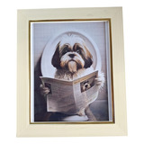 Quadro Decorativo Cachorro Shih