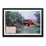 Quadro Decorativo Caminhões Antigos Scania Década 1950
