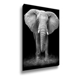 Quadro Decorativo Canvas Grande Elefante Africano 100x150 Cor Impressão Em Alta Resolução Cor Da Armação Tecido Canvas Borda Infinita