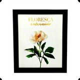 Quadro Decorativo Frases Motivacionais Diversas Imagens