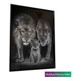 Quadro Decorativo Gigante Moldura