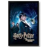 Quadro Decorativo Harry Potter E A