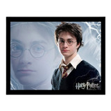 Quadro Decorativo Harry Potter Prisioneiro De Azcaban Arte 7