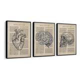 Quadro Decorativo Medicina Consultorio Moldura 50x70