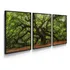 Quadro Decorativo Natureza Arvore Sala Quarto Moldura Caixa