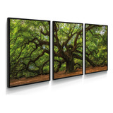 Quadro Decorativo Natureza Arvore