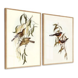Quadro Decorativo Pássaros Tons Bege Sala Casa C Vidro 50x70