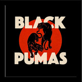 Quadro Disco Black Pumas