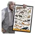Quadro E Moldura Coleções Arte Animais Bichos A2 60x42cm