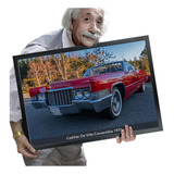 Quadro E Moldura Muscle