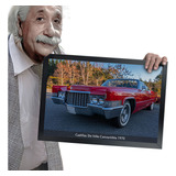 Quadro E Moldura Muscle