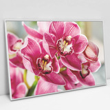 Quadro Em Canvas Orquídea Rosa Moldura Branca 120x80cm