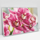 Quadro Em Canvas Orquídea Rosa Moldura