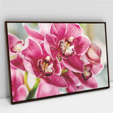 Quadro Em Canvas Orquídea Rosa Moldura