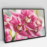 Quadro Em Canvas Orquídea Rosa Moldura
