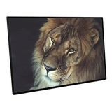 Quadro Em Tela Canvas Animais 60x40cm Moldura Preta