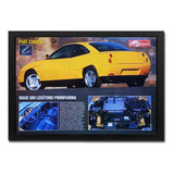 Quadro Fiat Coupe