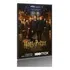 Quadro  Filme 20 Anos De Harry Potter De Volta A Hogwarts