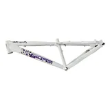 Quadro Giosbr 26 Frx