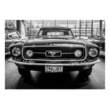 Quadro Grande Canvas Carro