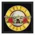 Quadro Guns N' Roses Logotipo Da Banda Contra Capa Do Album