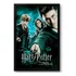 Quadro Harry Potter E A Ordem Da Fênix  40x60cm
