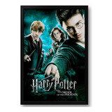 Quadro Harry Potter E