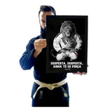 Quadro Jiu Jitsu Salmo Leão Arte Motivação Marcial Dojo