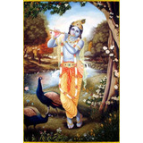 Quadro Krishna Decorativo Placa