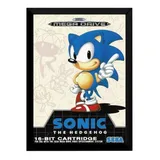 Quadro Mega Drive Sonic