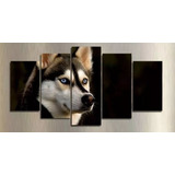 Quadro Mosaico 5 Peças Husky Siberiano Hd Lindo Hd
