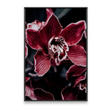 Quadro Orquídea Florida Decorativo C Moldura Para Sala Hall