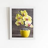 Quadro Orquídeas Amarelas Flor Vaso Moldura Branca 60x40cm