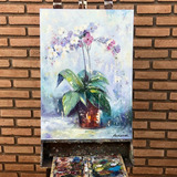 Plantas