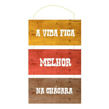 Quadro Placa A Vida