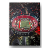 Quadro Placa Aluminio 20x28