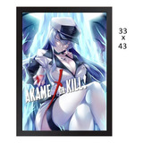 Quadro Poster Akame Ga Kill Personagem