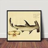 Quadro Poster Com Moldura Tubarão Animal
