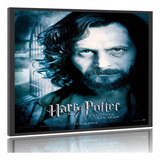 Quadro Poster Filme Harry